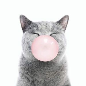 Meet your Posher, Lemon